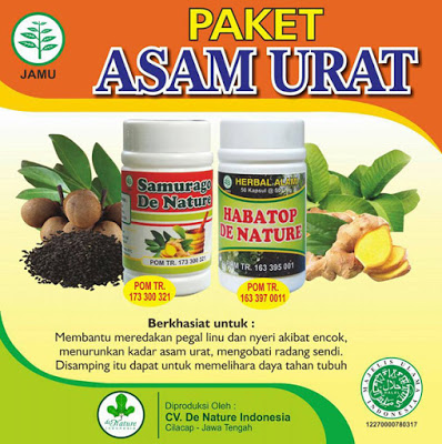 Illustration for article titled Obat Tradisional Penyakit Asam Urat